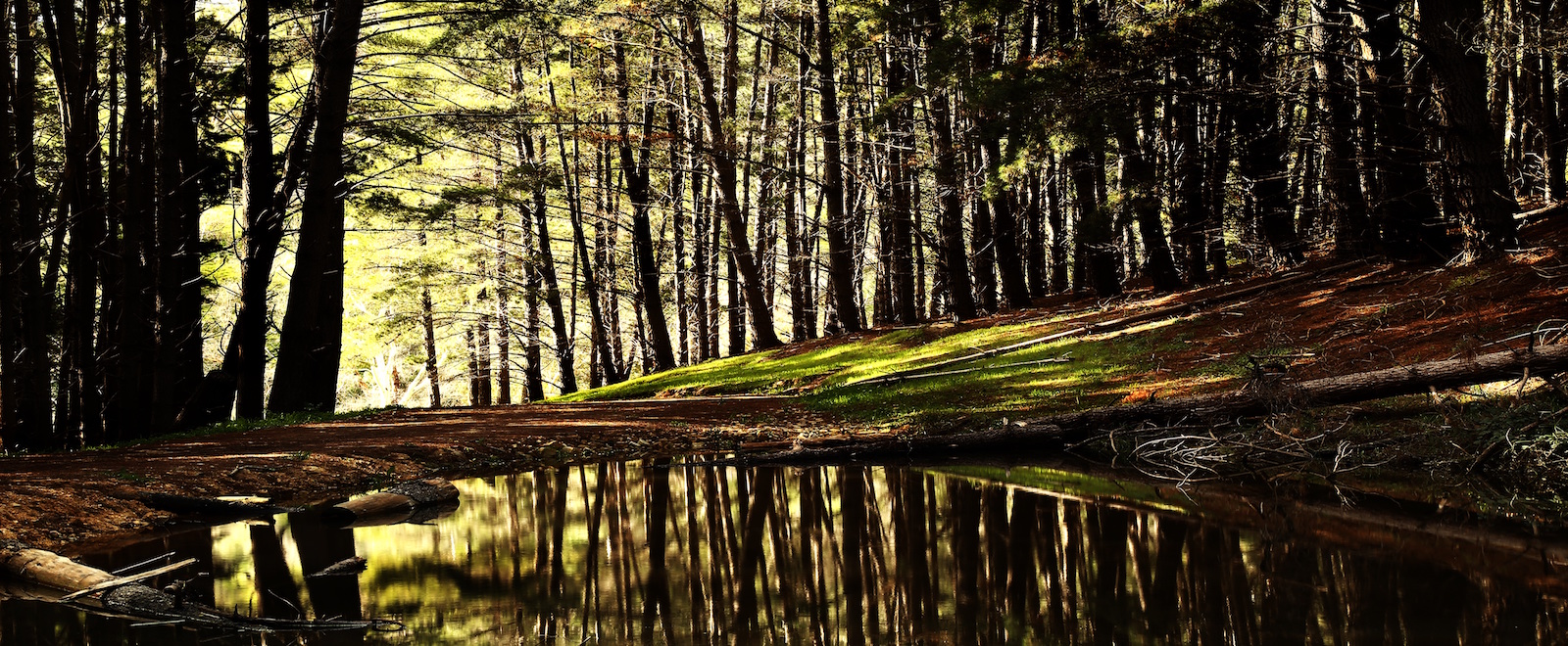 slider image 1